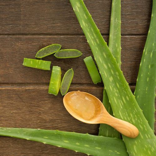 Aloe Vera- Natural Skin Care For Sensitive Skin